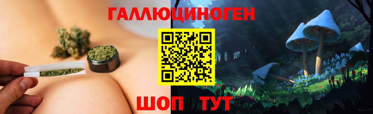 Галлюциногенные грибы Cubensis  Вход с VPN  Искитим 